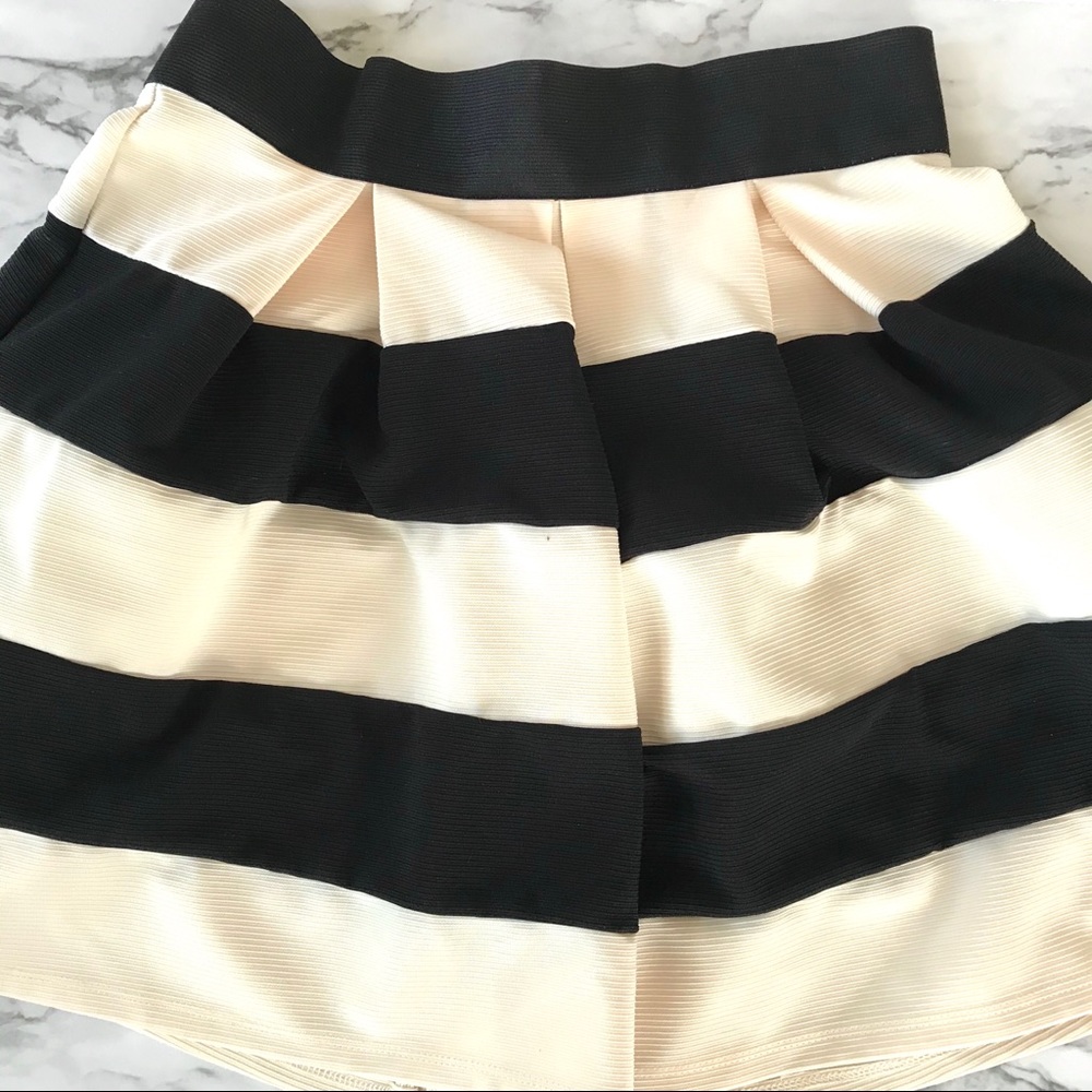 Ivory & black striped skirt w/ gold exposed zipper